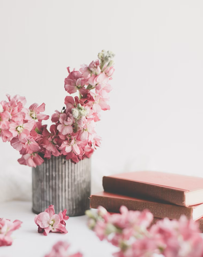 image from unsplash.com
